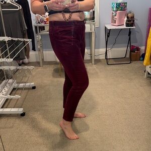 Banana Republic Factory Burgundy Straight Leg Pants
